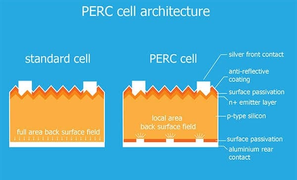 Perc Cell Architecture